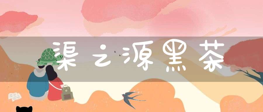 渠之源黑茶