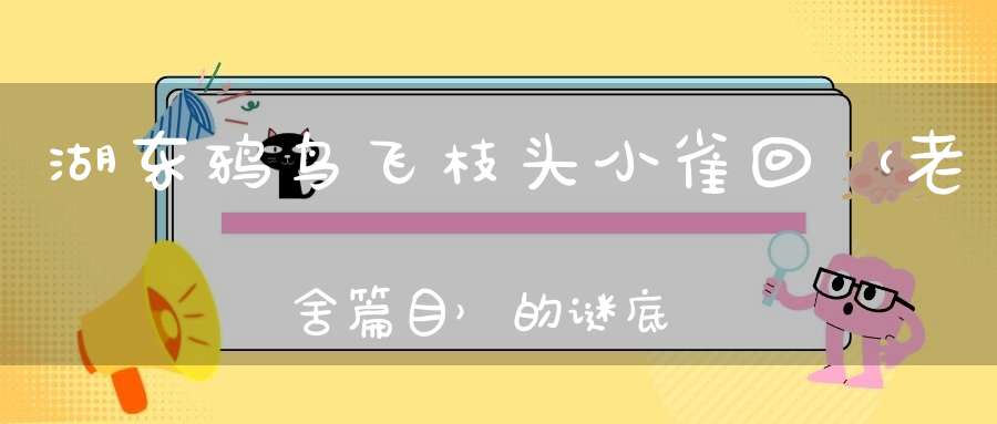 湖东鸦鸟飞，枝头小雀回 （老舍篇目）的谜底是什么?