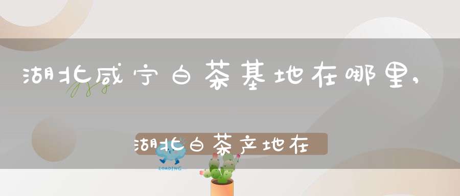 湖北咸宁白茶基地在哪里,湖北白茶产地在哪里