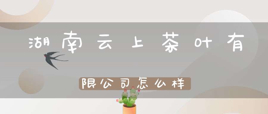 湖南云上茶叶有限公司怎么样
