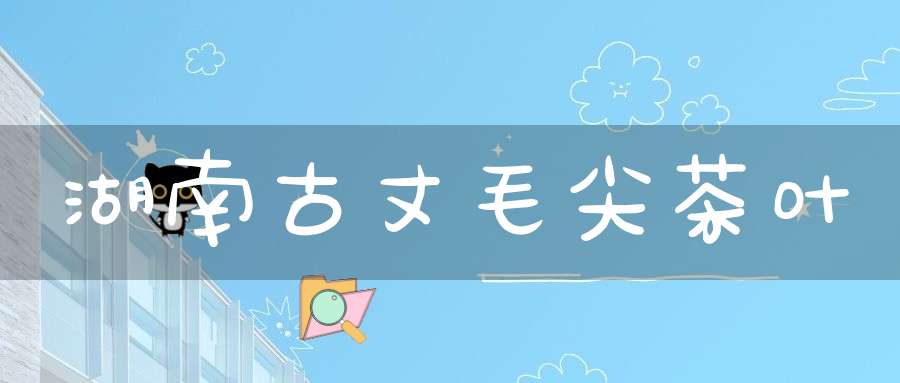湖南古丈毛尖茶叶