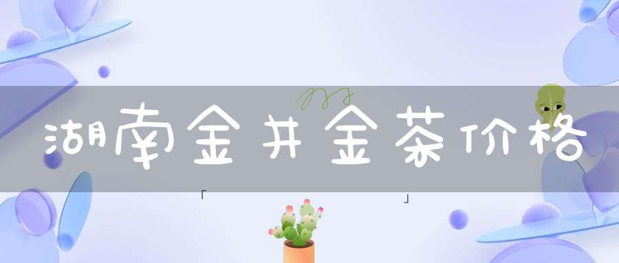 湖南金井金茶价格