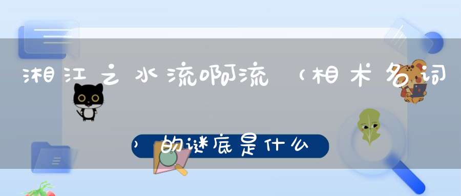 湘江之水流啊流 （相术名词）的谜底是什么?