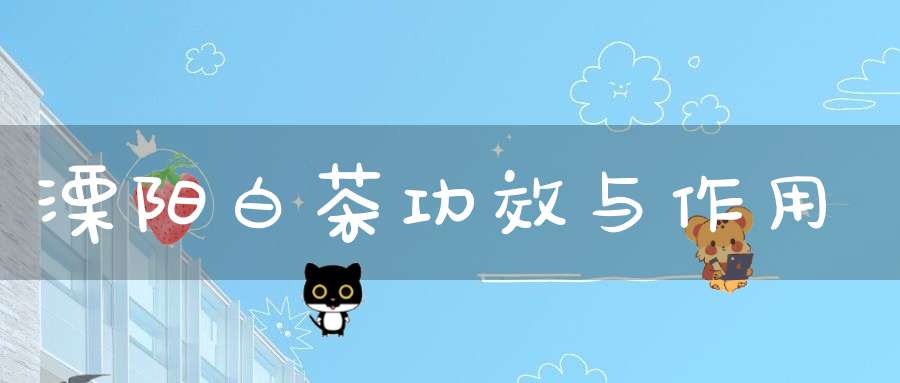 溧阳白茶功效与作用