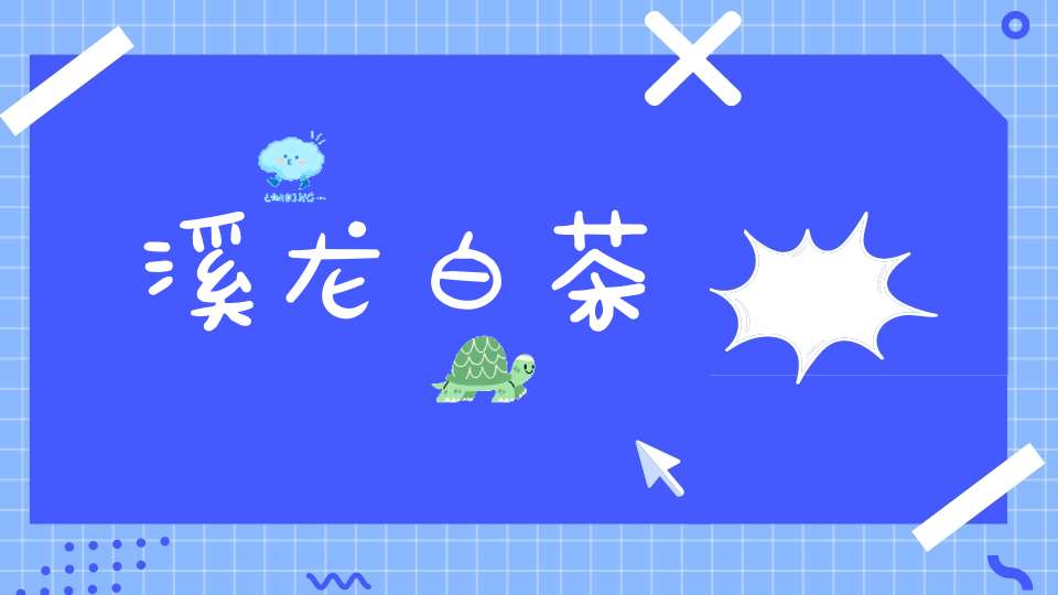 溪龙白茶