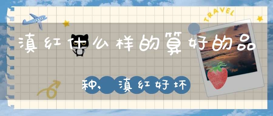 滇红什么样的算好的品种,滇红好坏