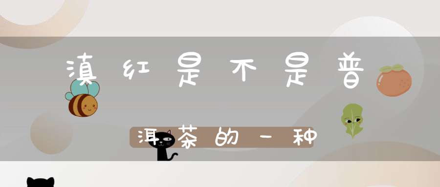 滇红是不是普洱茶的一种