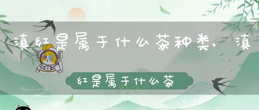 滇红是属于什么茶种类,滇红是属于什么茶种植