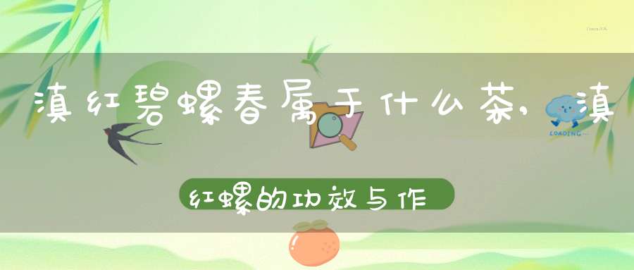 滇红碧螺春属于什么茶,滇红螺的功效与作用