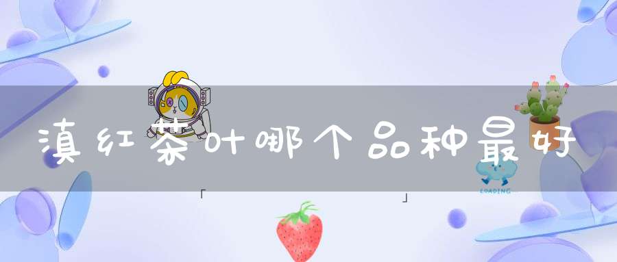 滇红茶叶哪个品种最好
