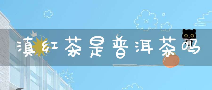 滇红茶是普洱茶吗