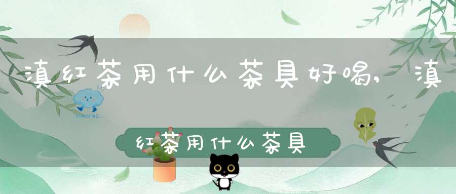 滇红茶用什么茶具好喝,滇红茶用什么茶具好泡