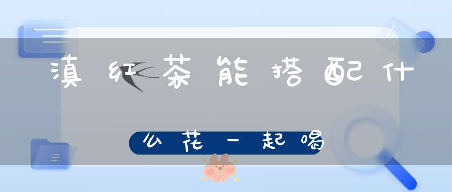 滇红茶能搭配什么花一起喝