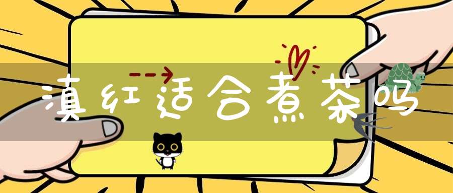 滇红适合煮茶吗