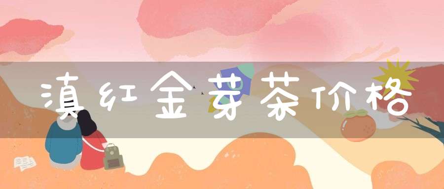 滇红金芽茶价格