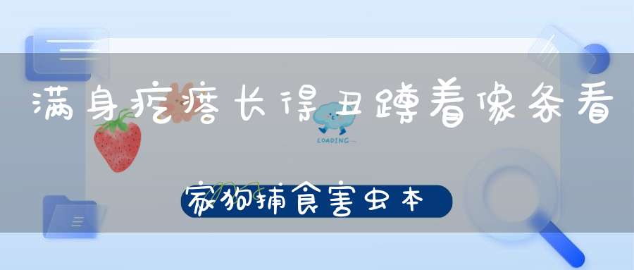 满身疙瘩长得丑，蹲着像条看家狗，捕食害虫本领大，它是庄稼好朋友。 （猜一动物）