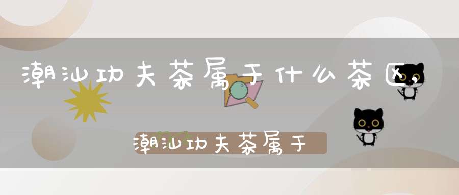 潮汕功夫茶属于什么茶区,潮汕功夫茶属于什么茶类