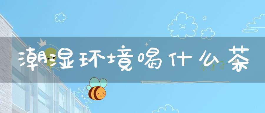 潮湿环境喝什么茶