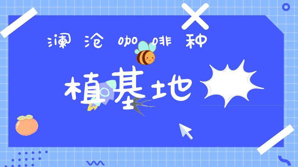 澜沧咖啡种植基地