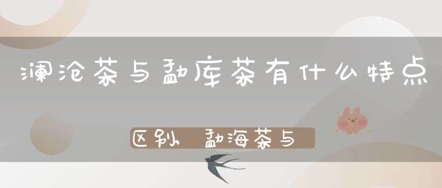澜沧茶与勐库茶有什么特点区别,勐海茶与澜沧茶的区别