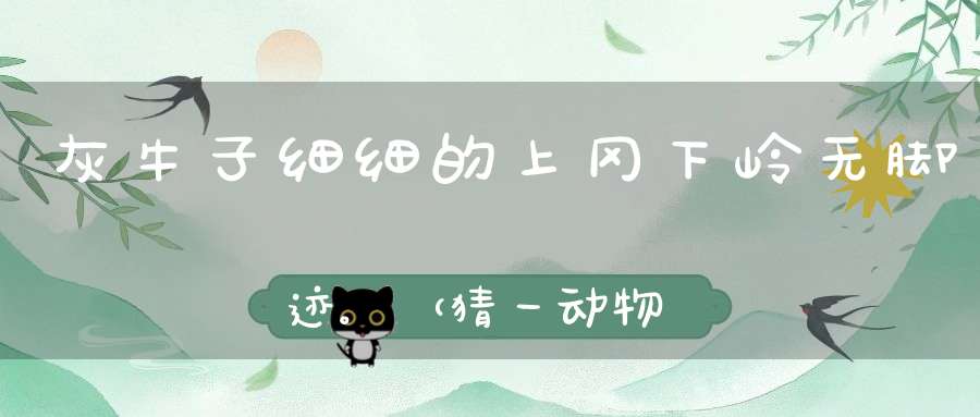 灰牛子，细细的，上冈下岭无脚迹。 （猜一动物）