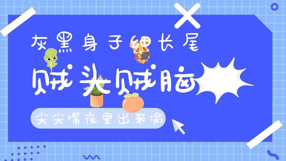 灰黑身子细长尾，贼头贼脑尖尖嘴，夜里出来偷东西，见了猫儿如见鬼。 （猜一动物）