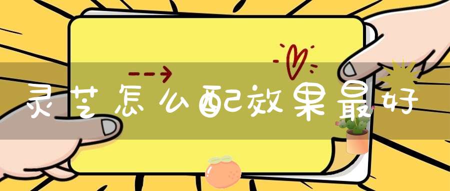灵芝怎么配效果最好