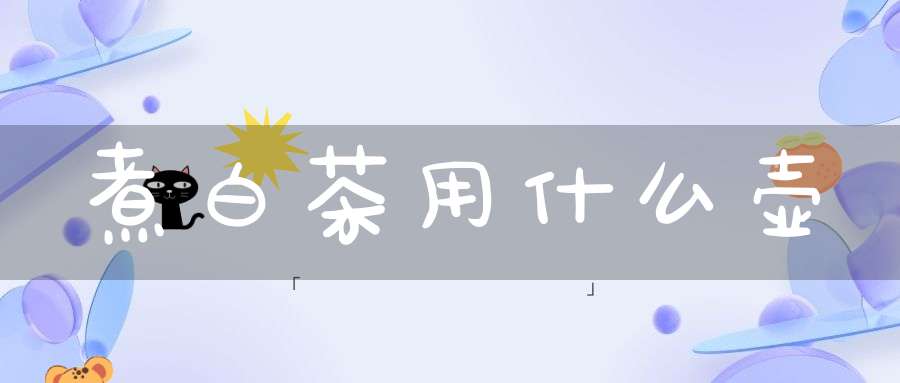 煮白茶用什么壶