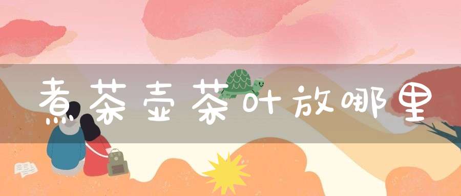煮茶壶茶叶放哪里