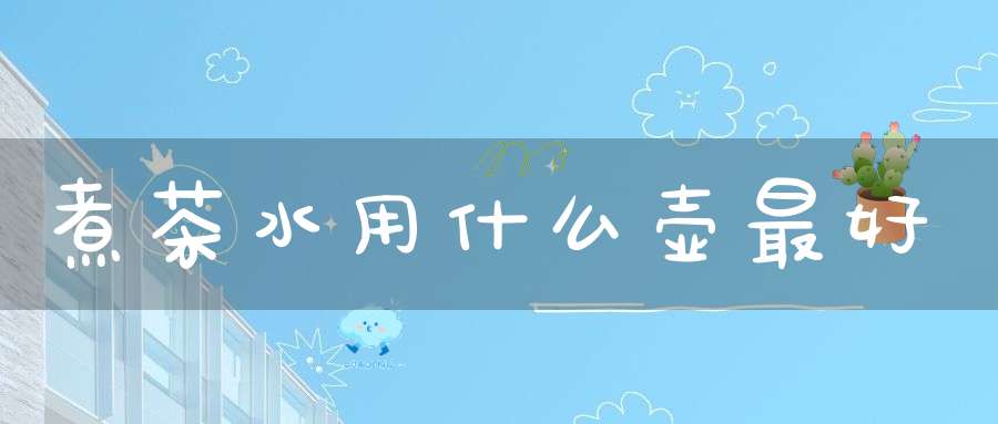 煮茶水用什么壶最好