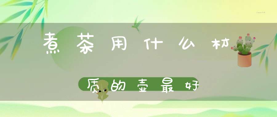 煮茶用什么材质的壶最好
