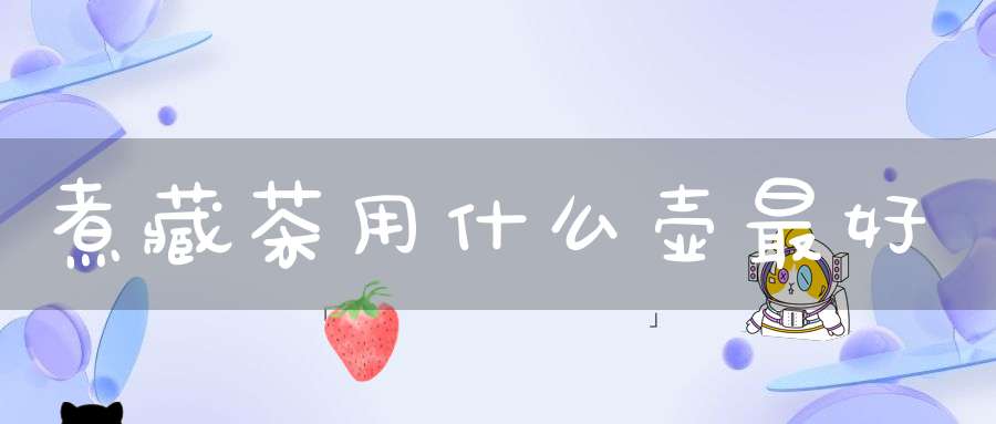 煮藏茶用什么壶最好