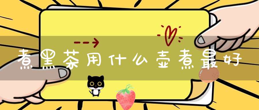 煮黑茶用什么壶煮最好