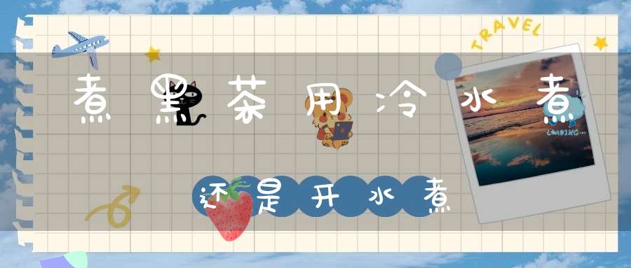 煮黑茶用冷水煮还是开水煮