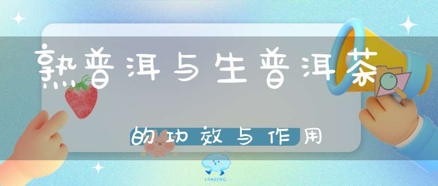 熟普洱与生普洱茶的功效与作用