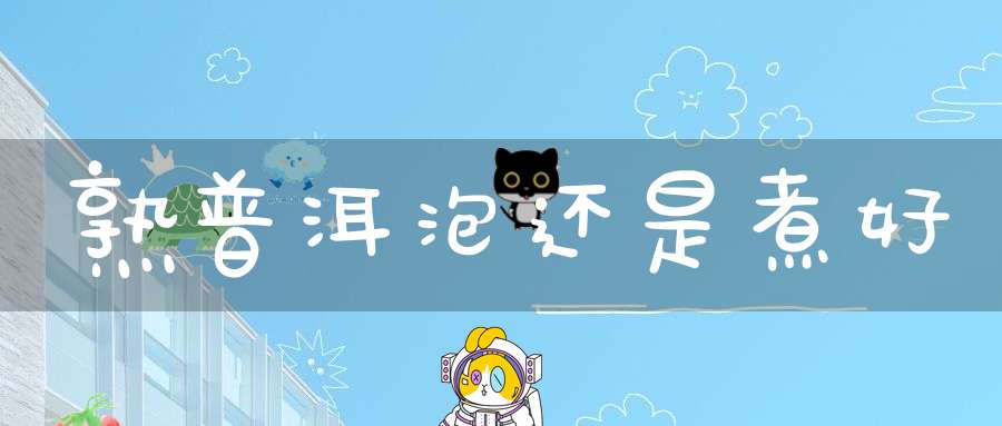 熟普洱泡还是煮好