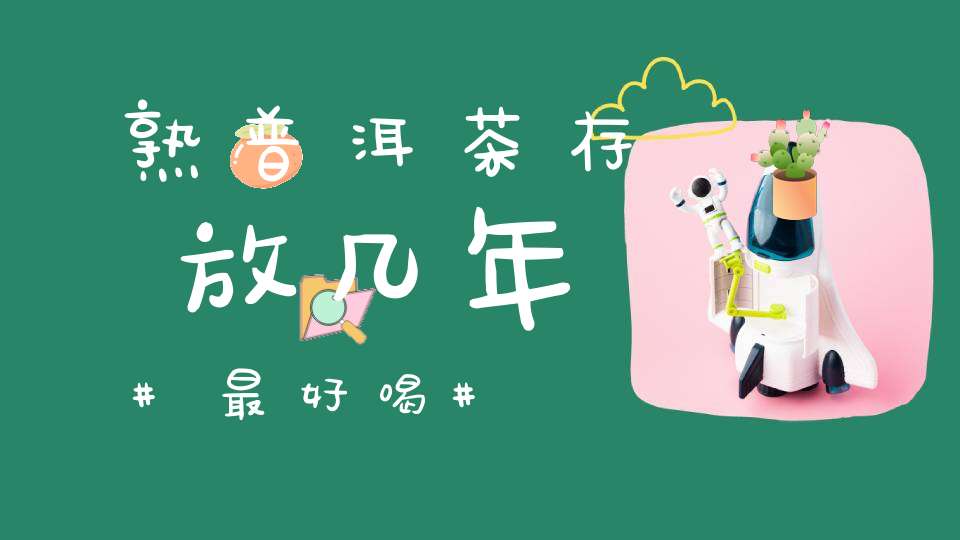 熟普洱茶存放几年最好喝