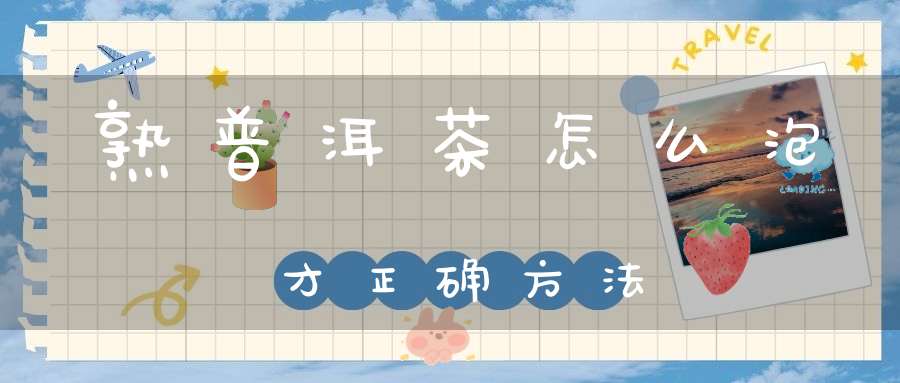 熟普洱茶怎么泡才正确方法