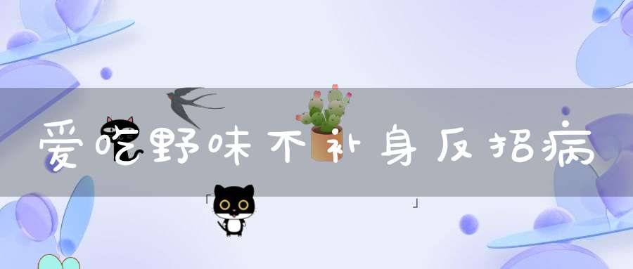 爱吃野味不补身反招病