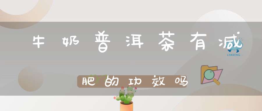 牛奶普洱茶有减肥的功效吗