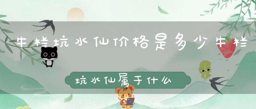 牛栏坑水仙价格是多少牛栏坑水仙属于什么茶