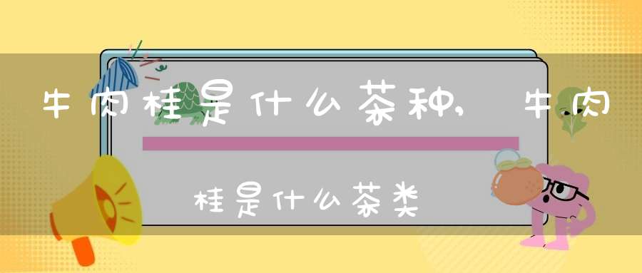 牛肉桂是什么茶种,牛肉桂是什么茶类