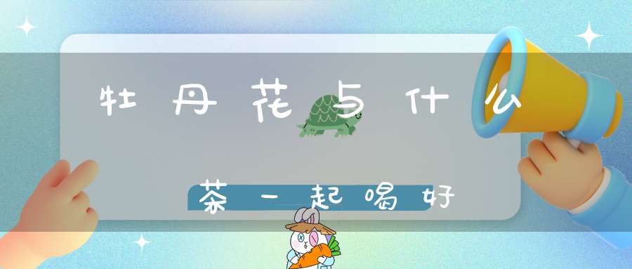 牡丹花与什么茶一起喝好