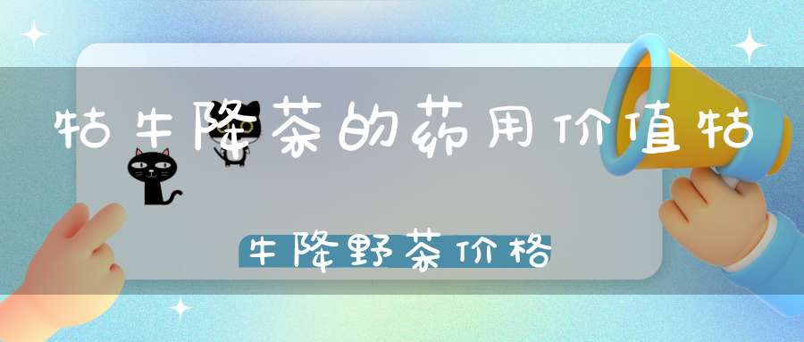 牯牛降茶的药用价值牯牛降野茶价格