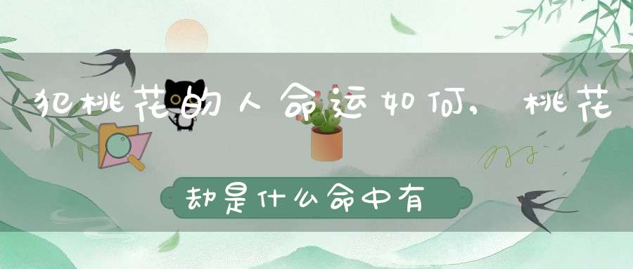 犯桃花的人命运如何,桃花劫是什么？命中有桃花劫的人又会怎样？