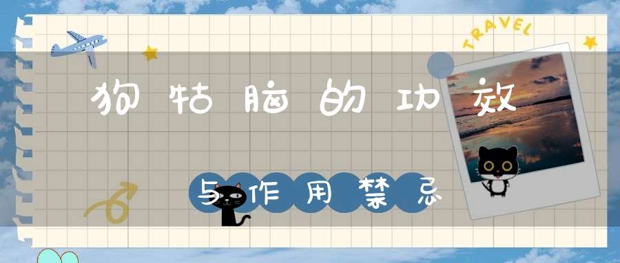 狗牯脑的功效与作用禁忌