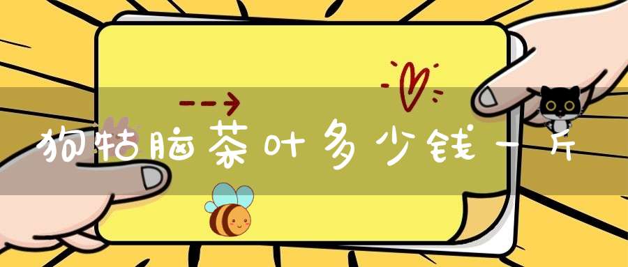 狗牯脑茶叶多少钱一斤