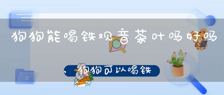 狗狗能喝铁观音茶叶吗好吗,狗狗可以喝铁观音吗