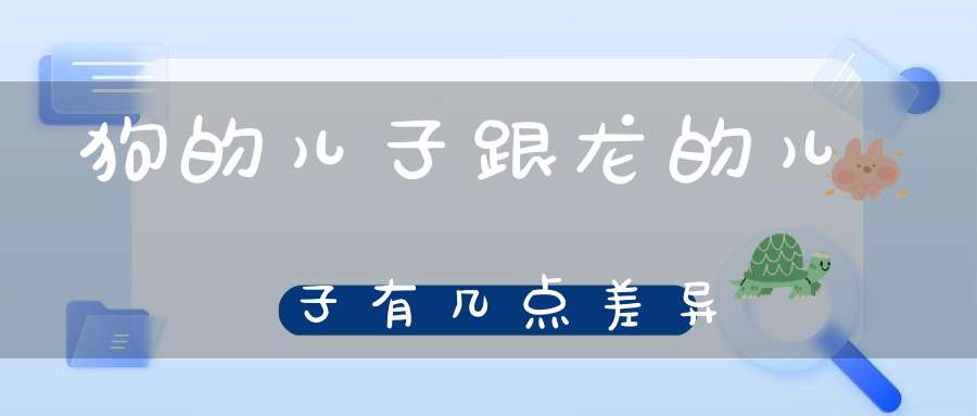 狗的儿子跟龙的儿子，有几点差异