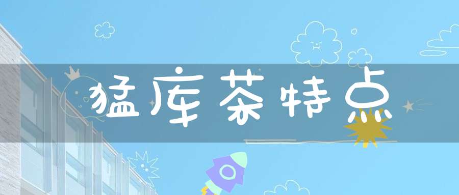 猛库茶特点